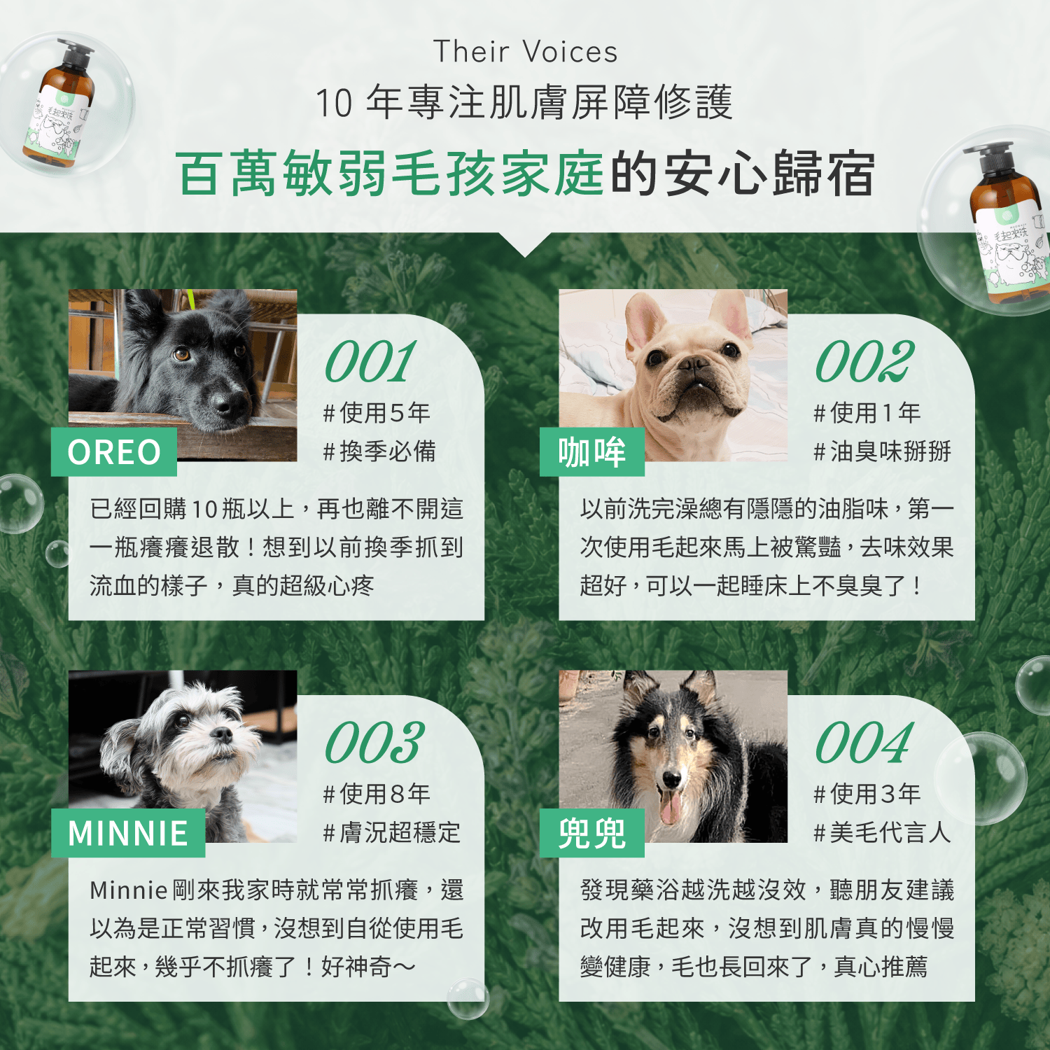 【毛起來】草本養護│癢癢退散洗毛精-汪汪專用
