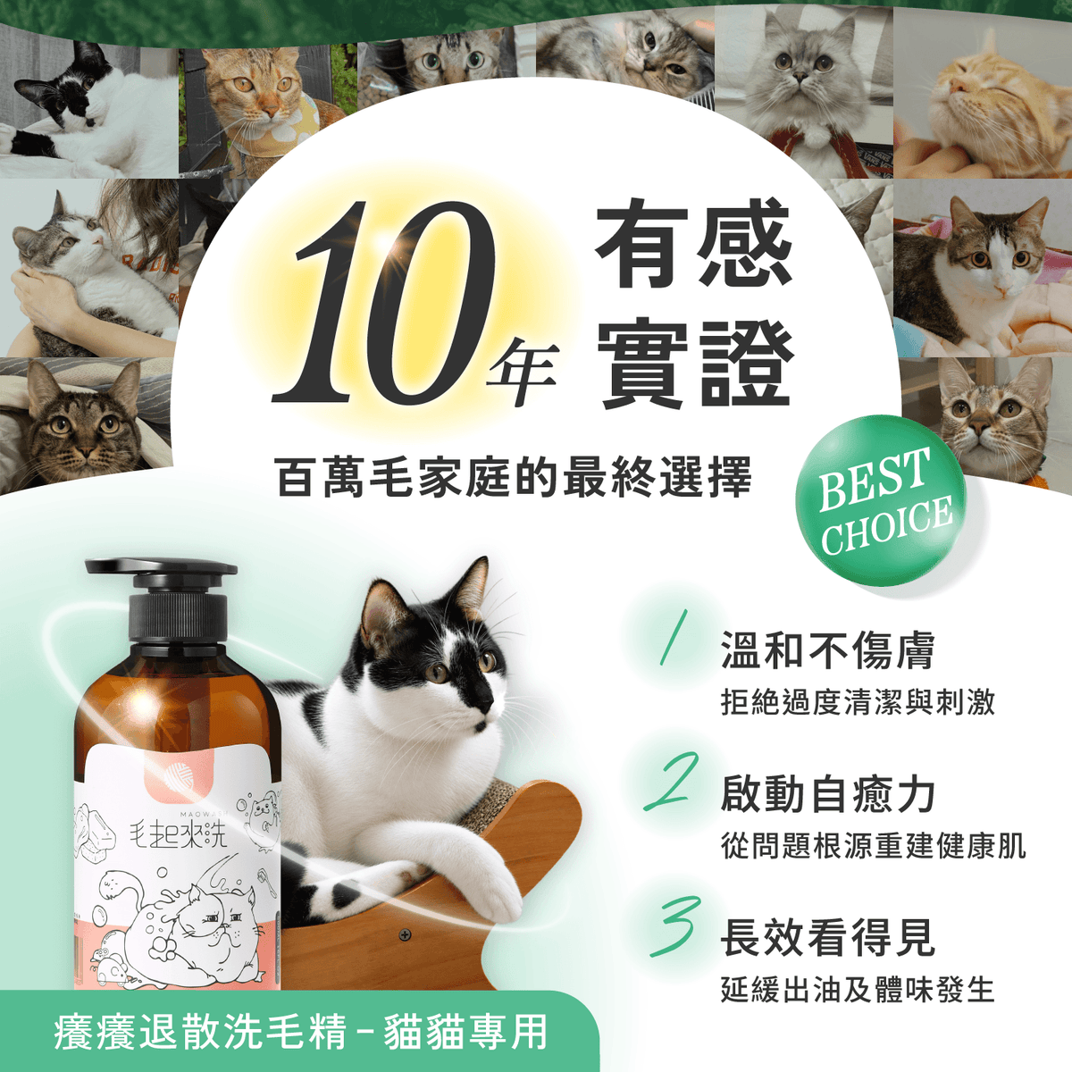 【毛起來】草本養護│癢癢退散洗毛精-貓貓專用