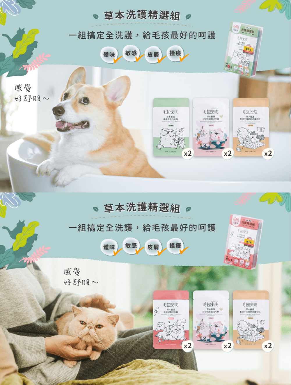 【團購】好舒洗柔敏 日常清潔組