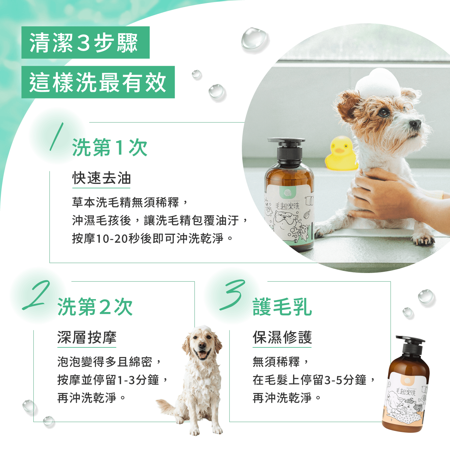【毛起來】草本養護│癢癢退散洗毛精-汪汪專用