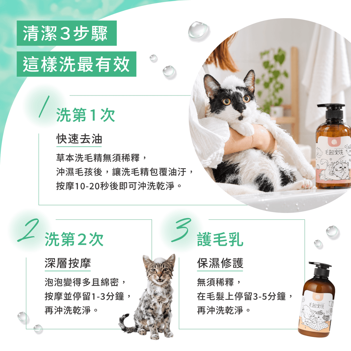 【毛起來】草本養護│癢癢退散洗毛精-貓貓專用