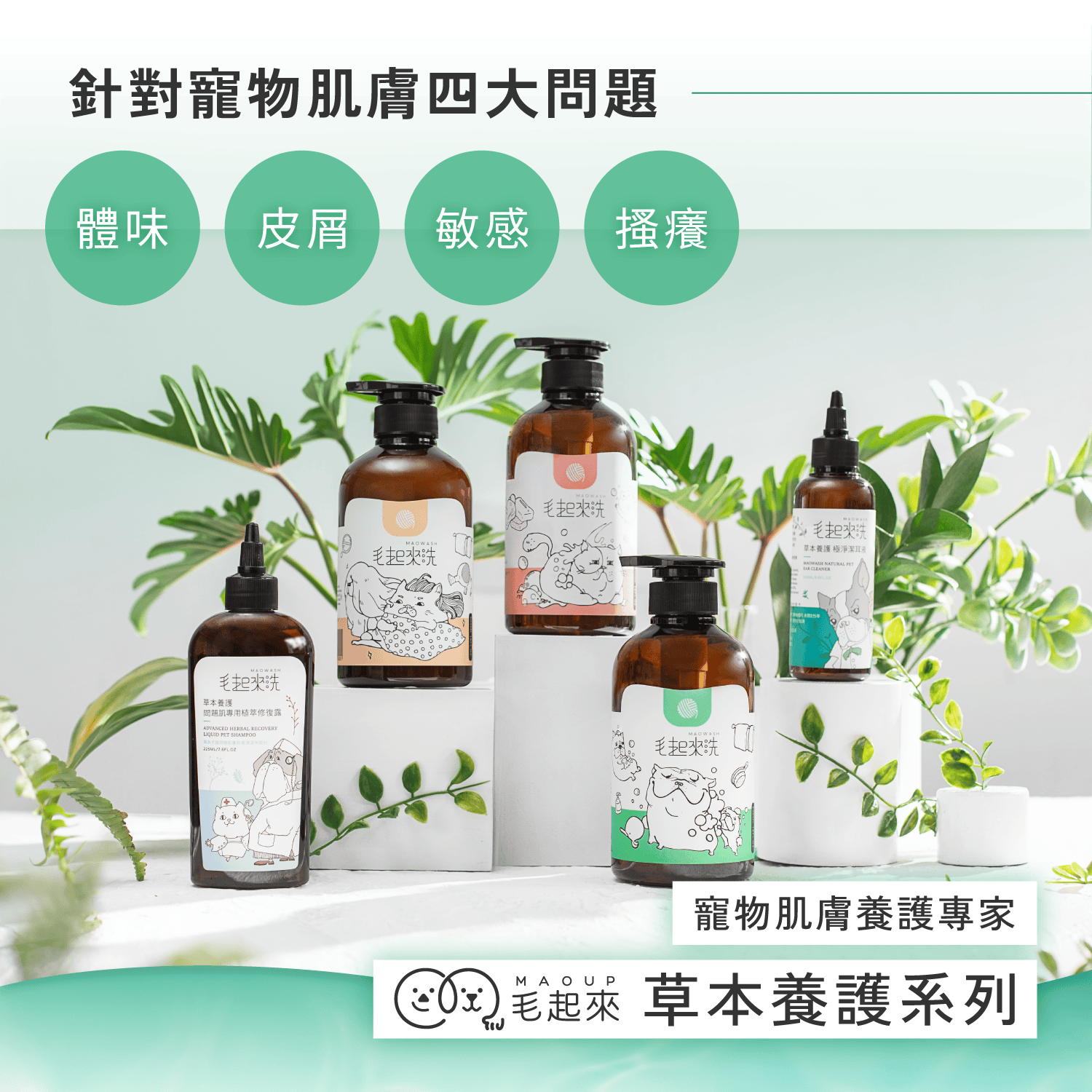 【毛起來】草本養護│癢癢退散洗毛精-汪汪專用