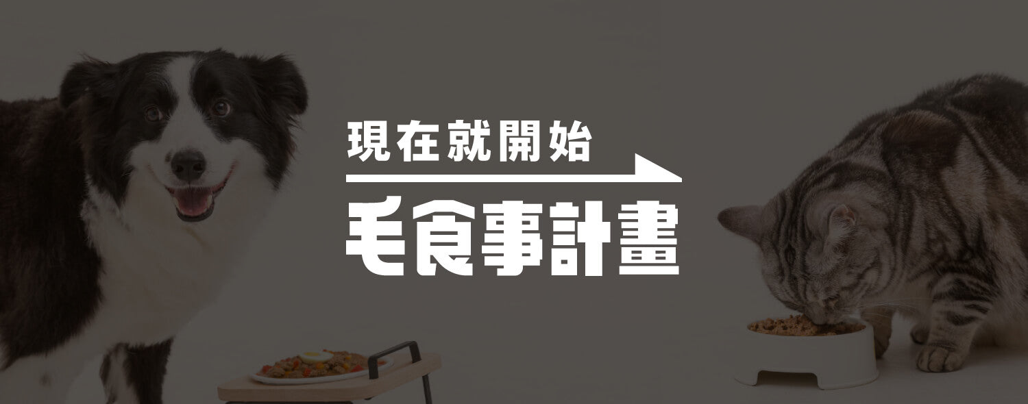 【毛起來】護膚低敏鮮肉主食罐｜貓用