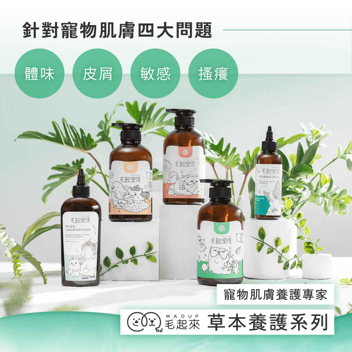 【毛起來】草本養護│癢癢退散洗毛精-貓貓專用