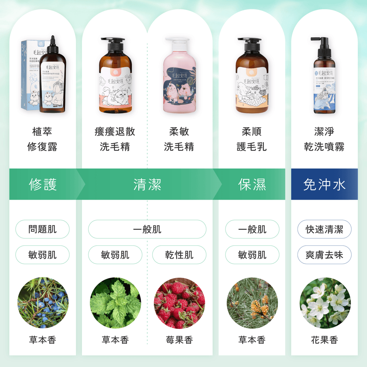 【毛起來】草本養護│癢癢退散洗毛精-貓貓專用