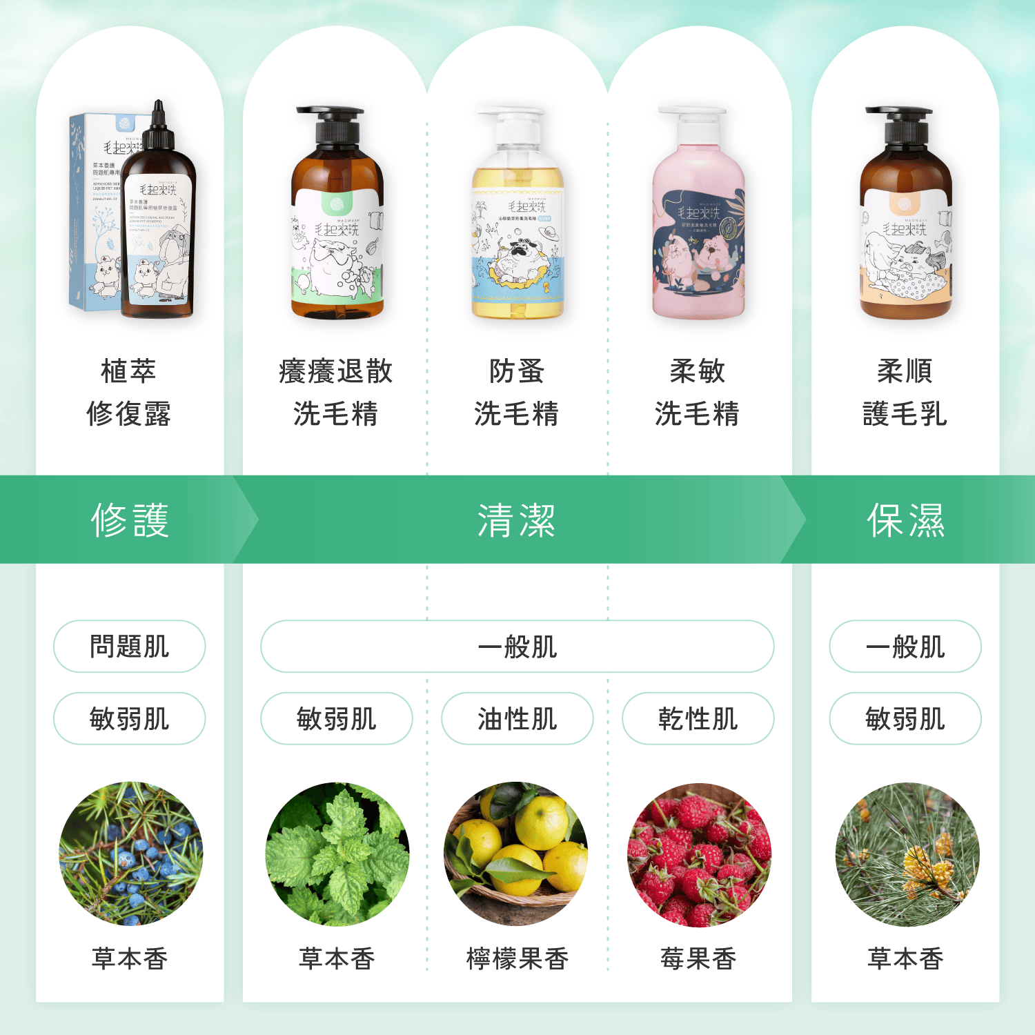 【毛起來】草本養護│癢癢退散洗毛精-汪汪專用