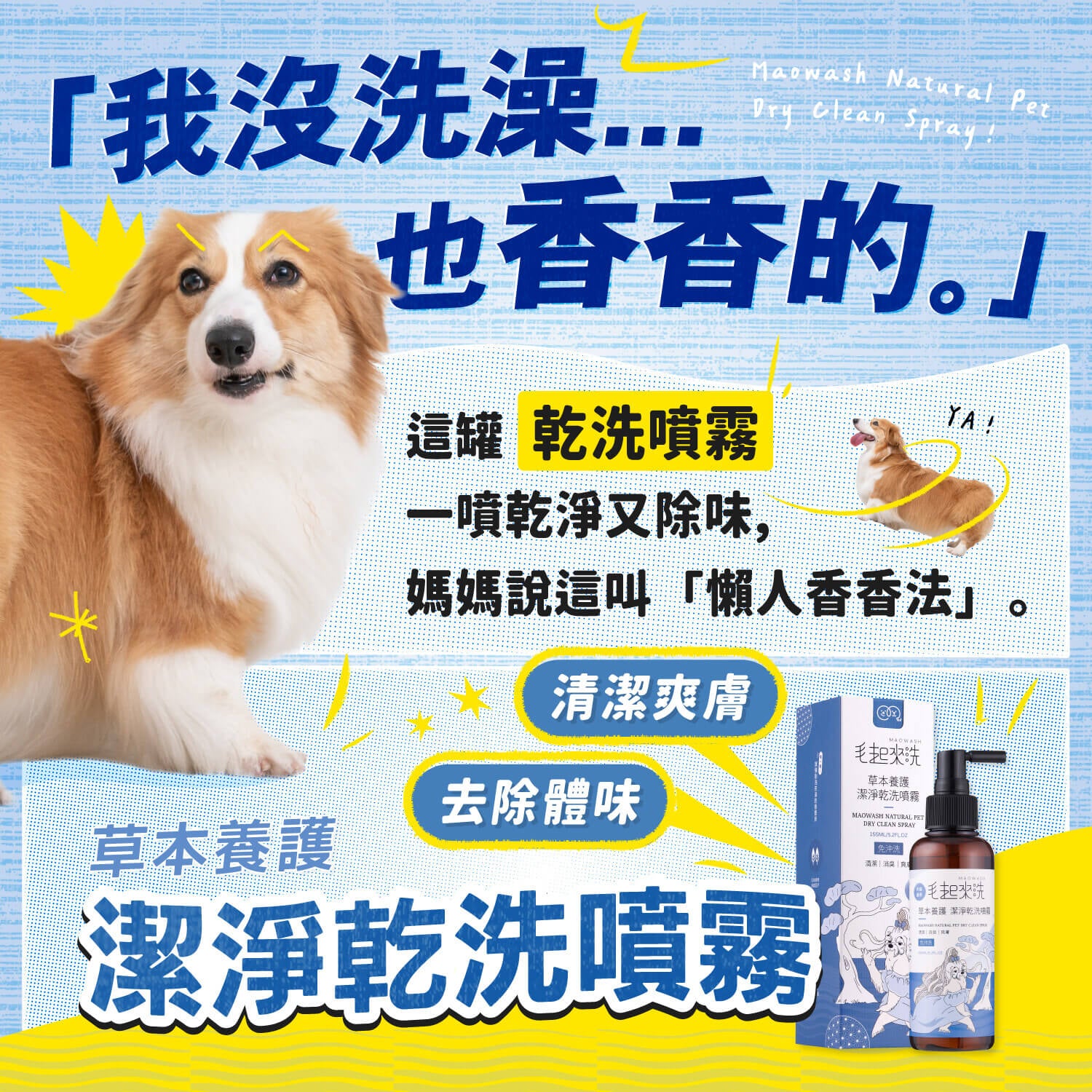 【毛起來】草本養護│潔淨乾洗噴霧