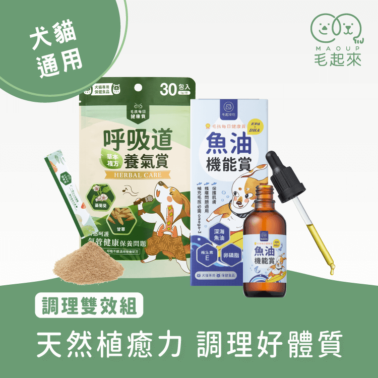 【毛起來】毛孩每日健康賞│呼吸道養氣賞