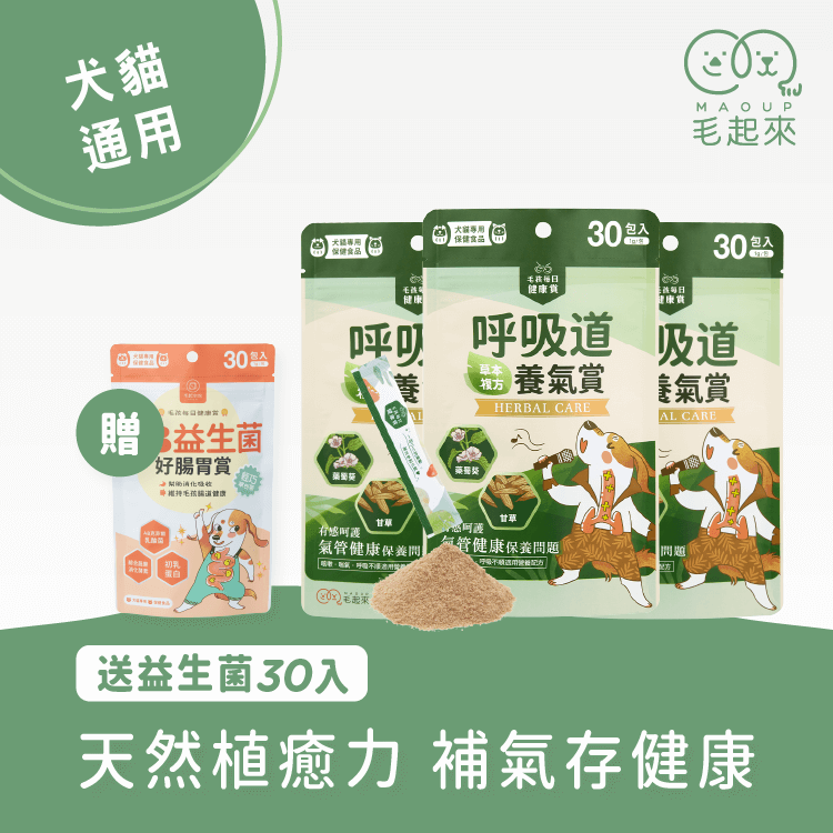 【毛起來】毛孩每日健康賞│呼吸道養氣賞