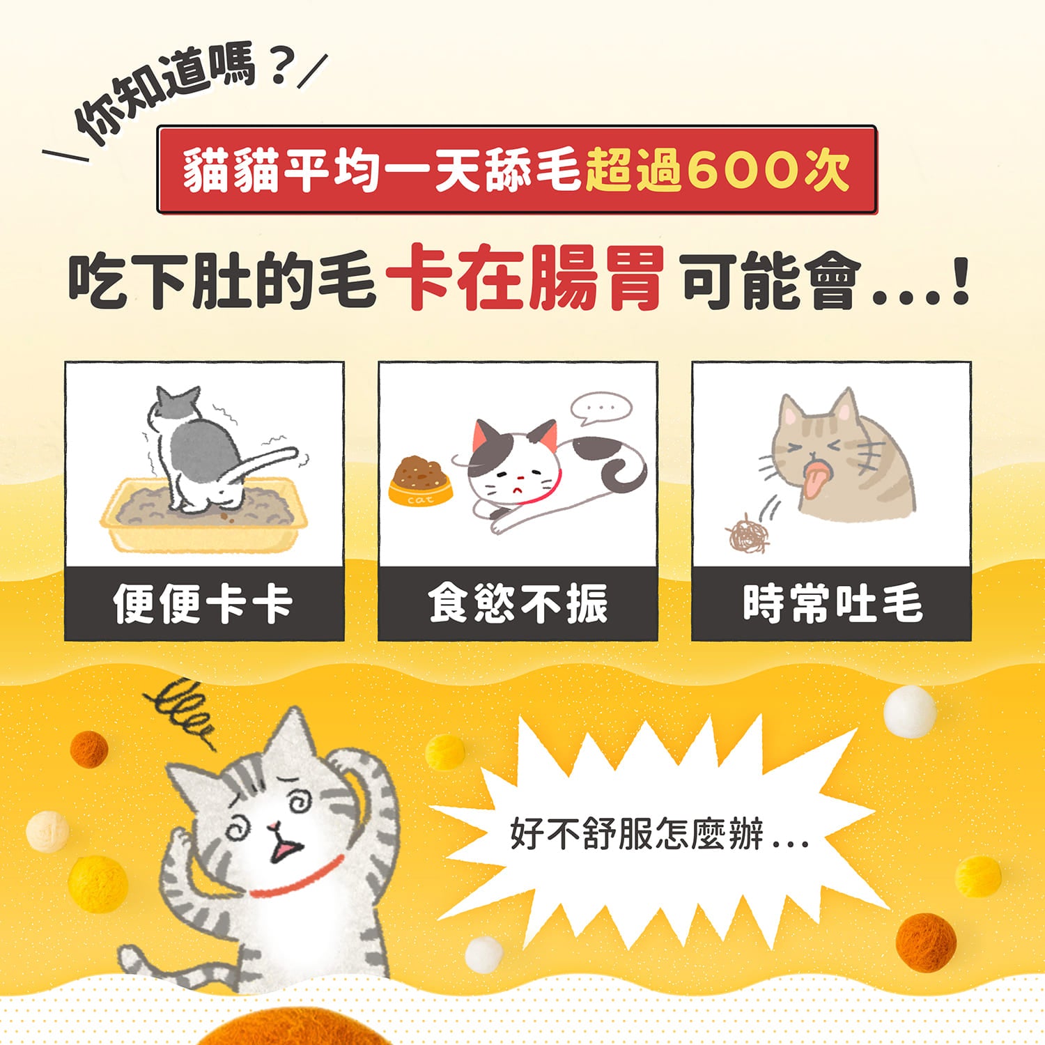 AC測試_【毛起來】護膚低敏鮮肉主食罐｜嘗鮮體驗組