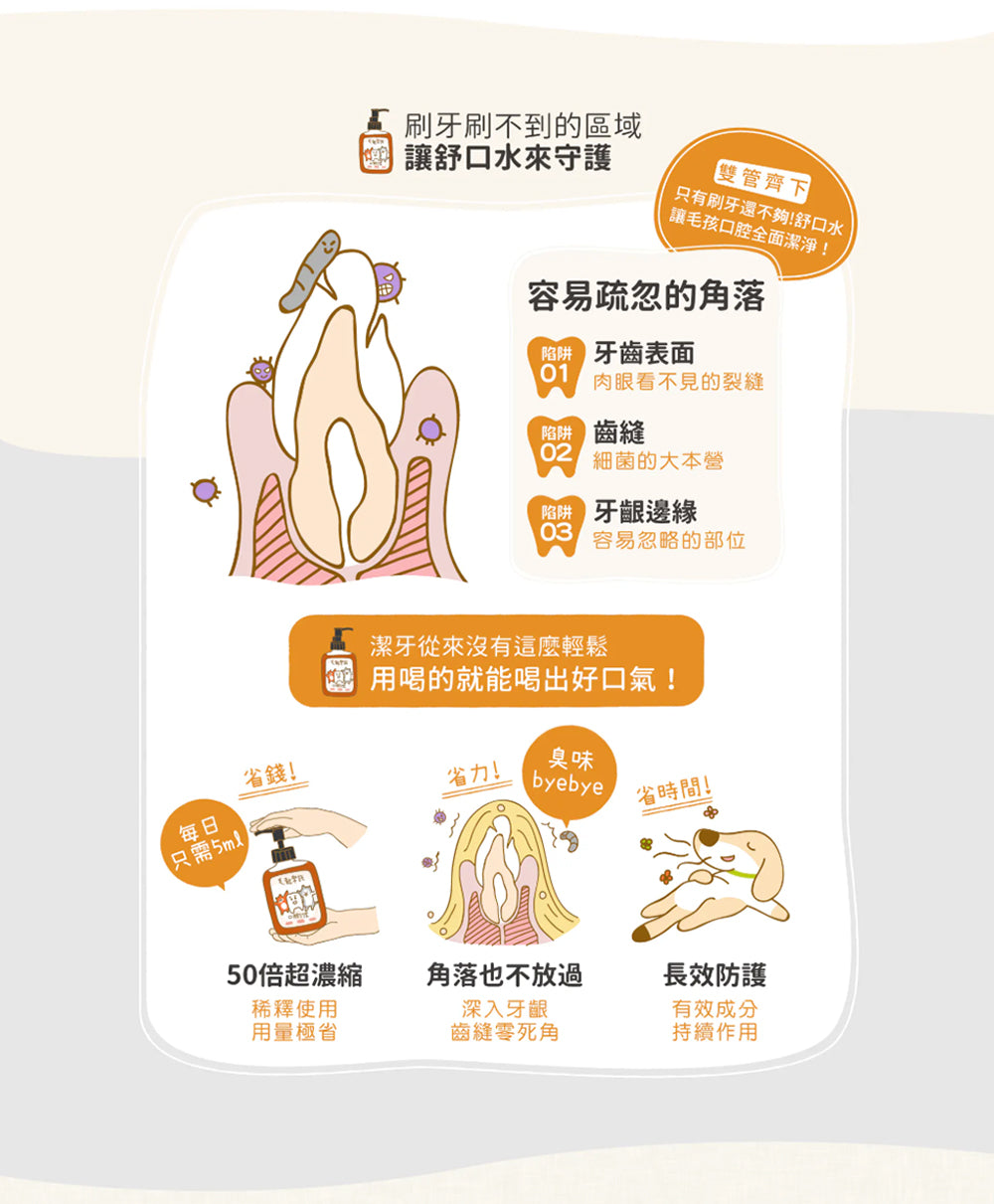 【毛起來】口腔對策│得寸淨齒舒口水