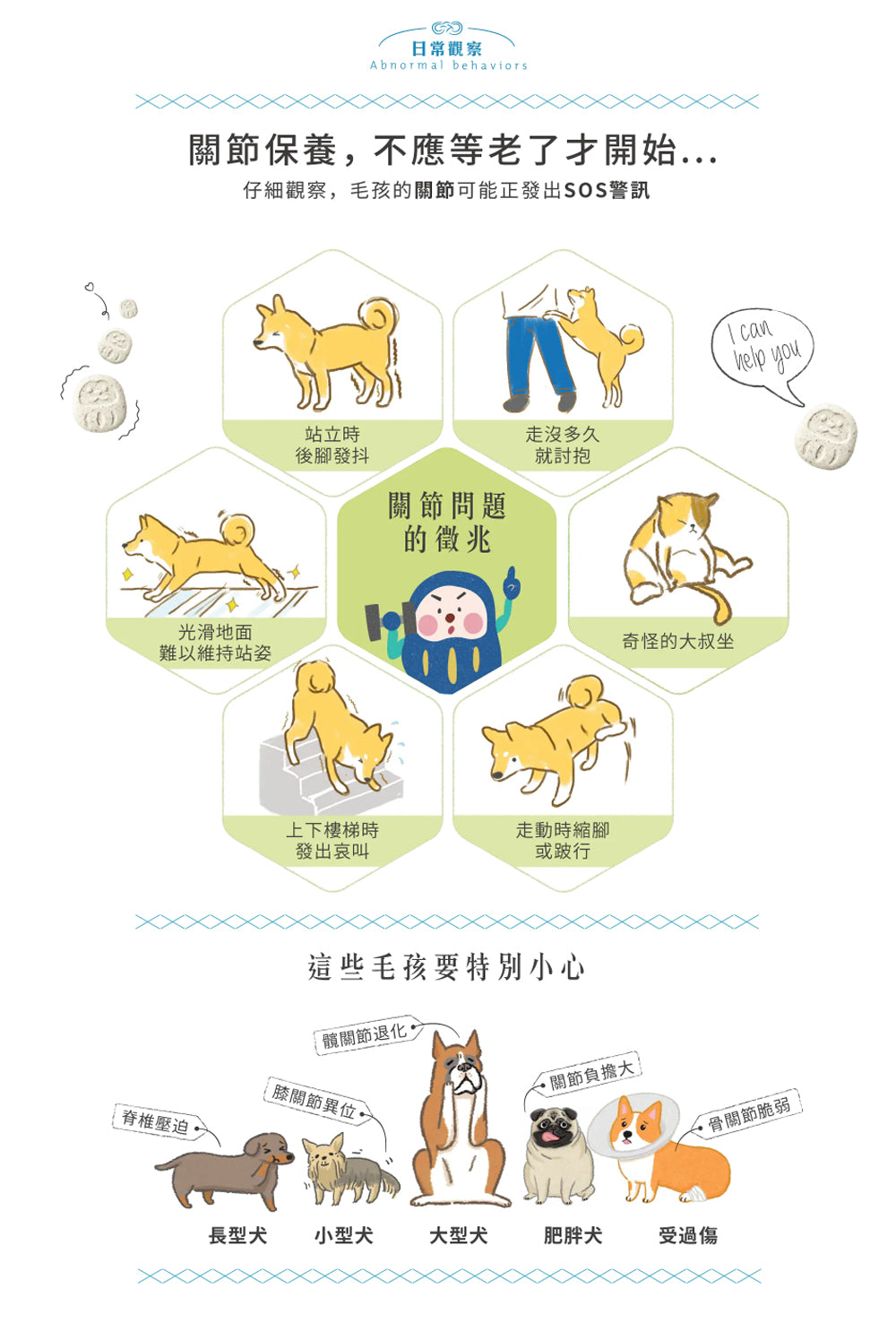 【團購專屬】關節好骨力賞(30錠/70錠)