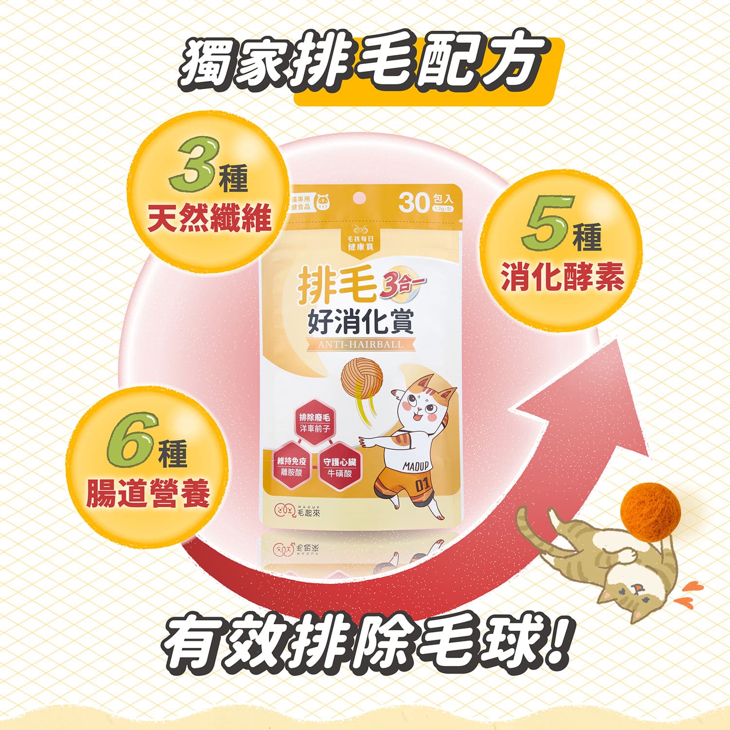 AC測試_【毛起來】護膚低敏鮮肉主食罐｜嘗鮮體驗組