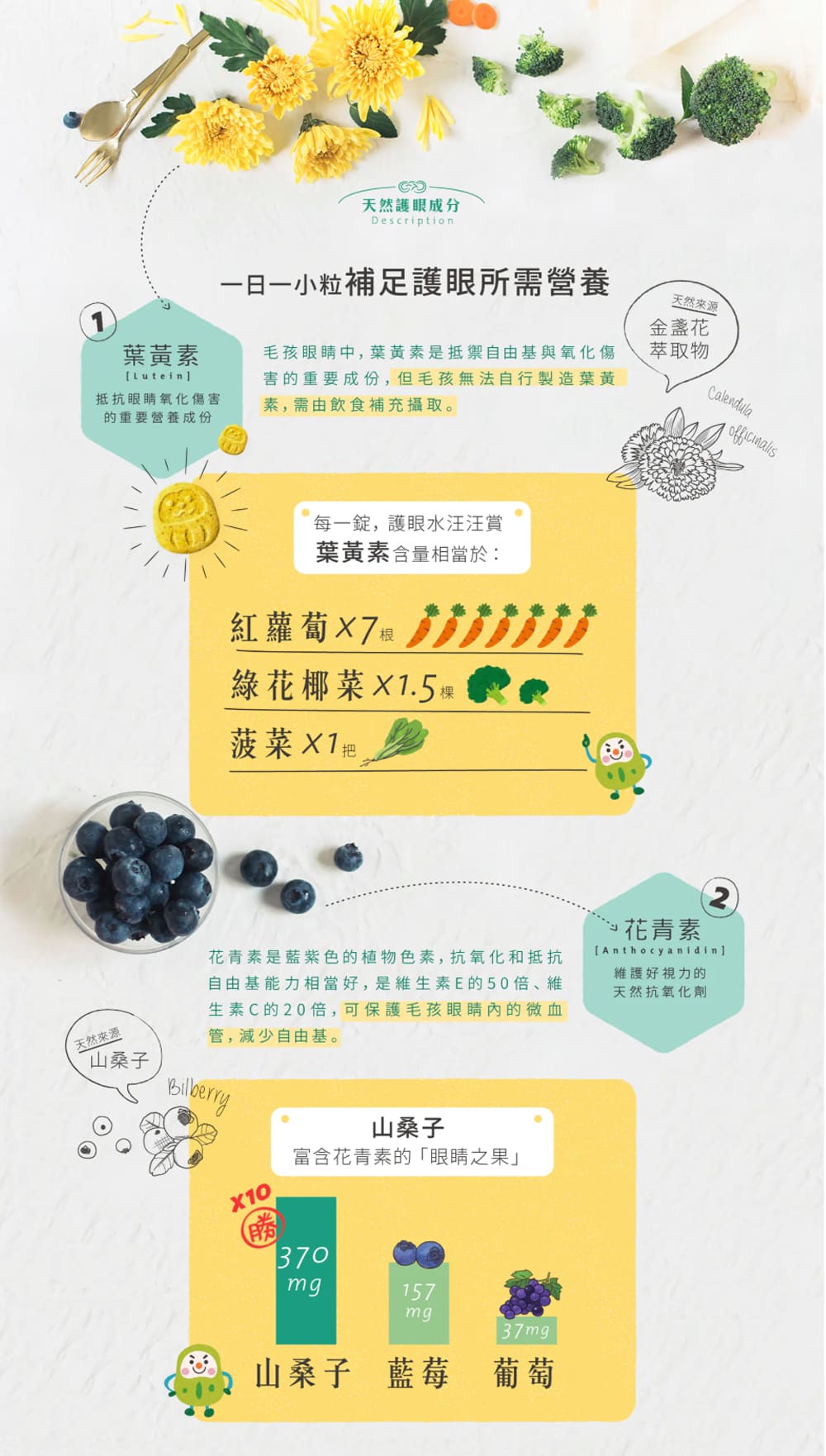 【毛起來】毛孩每日健康賞│護眼水汪汪賞(30錠/70錠)