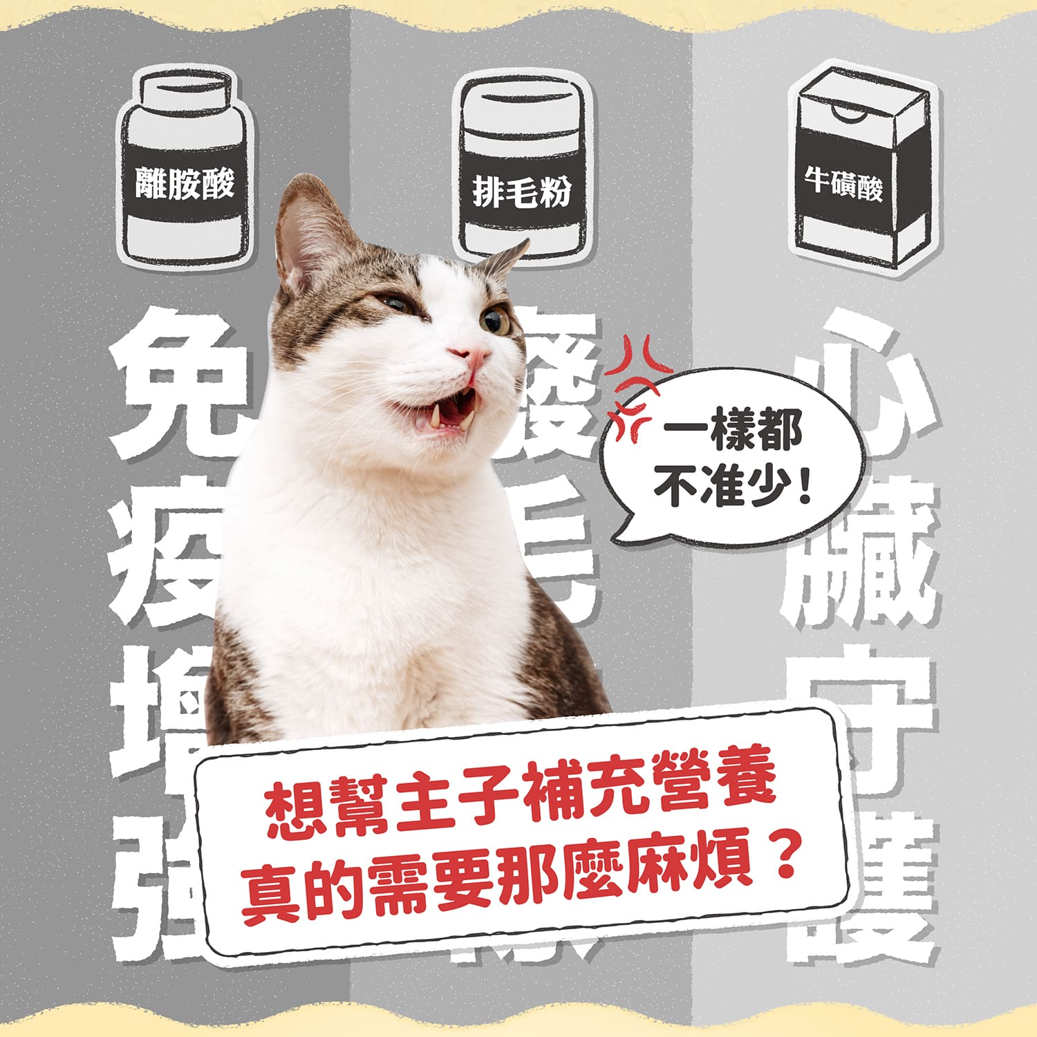 AC測試_【毛起來】護膚低敏鮮肉主食罐｜嘗鮮體驗組