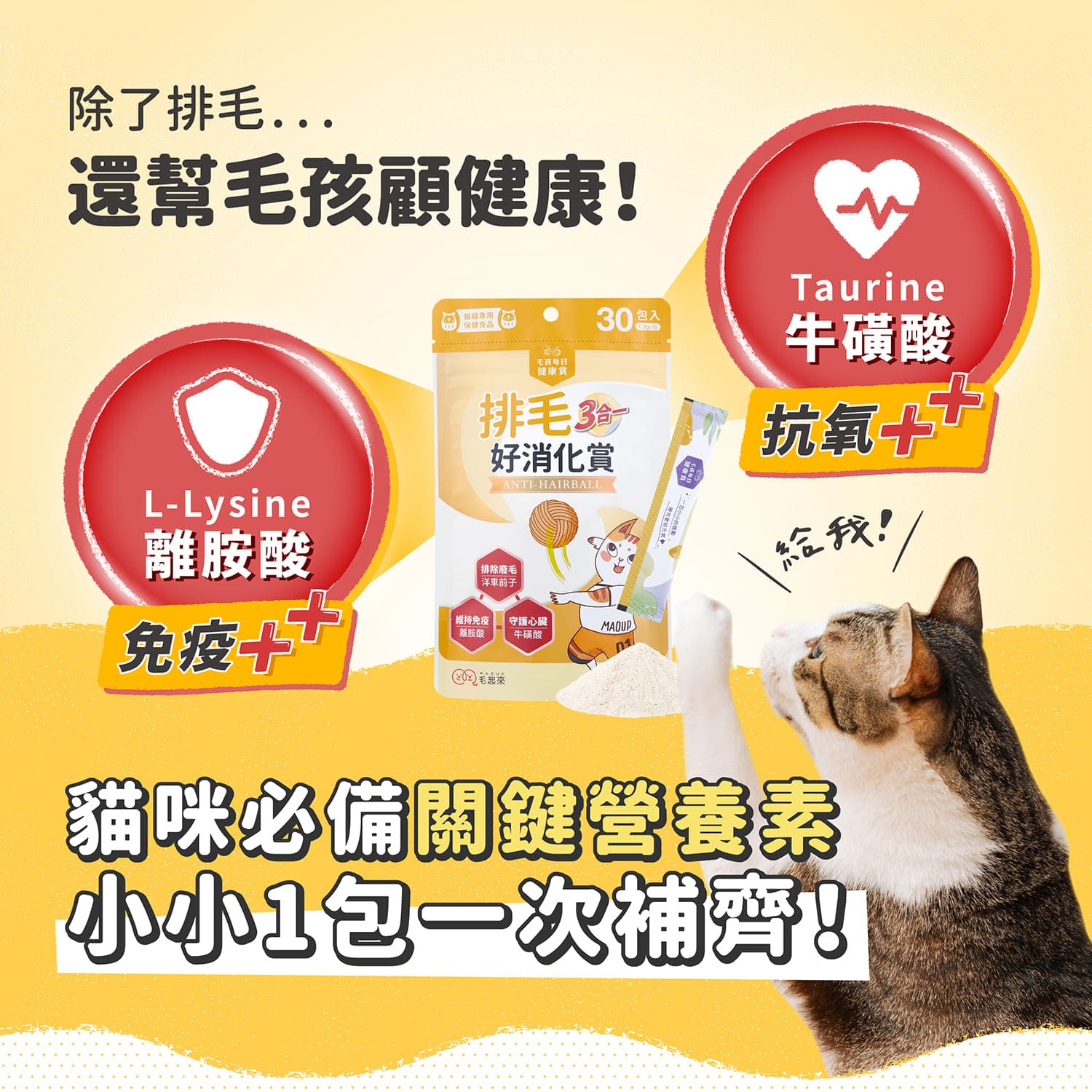 AC測試_【毛起來】護膚低敏鮮肉主食罐｜嘗鮮體驗組