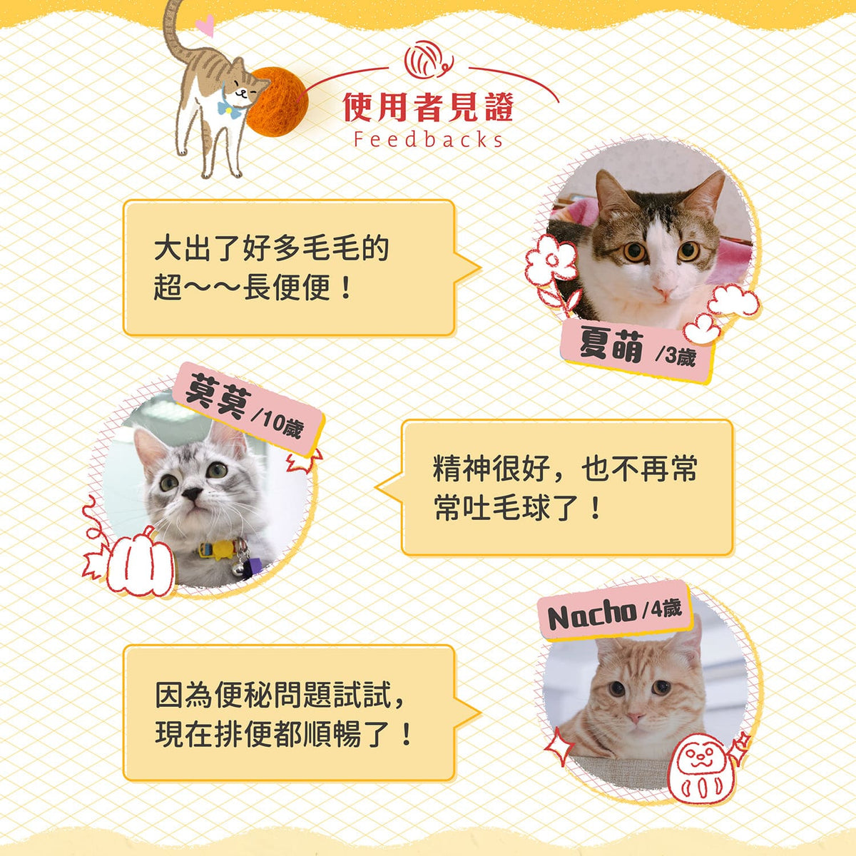 【團購專屬】排毛好消化賞