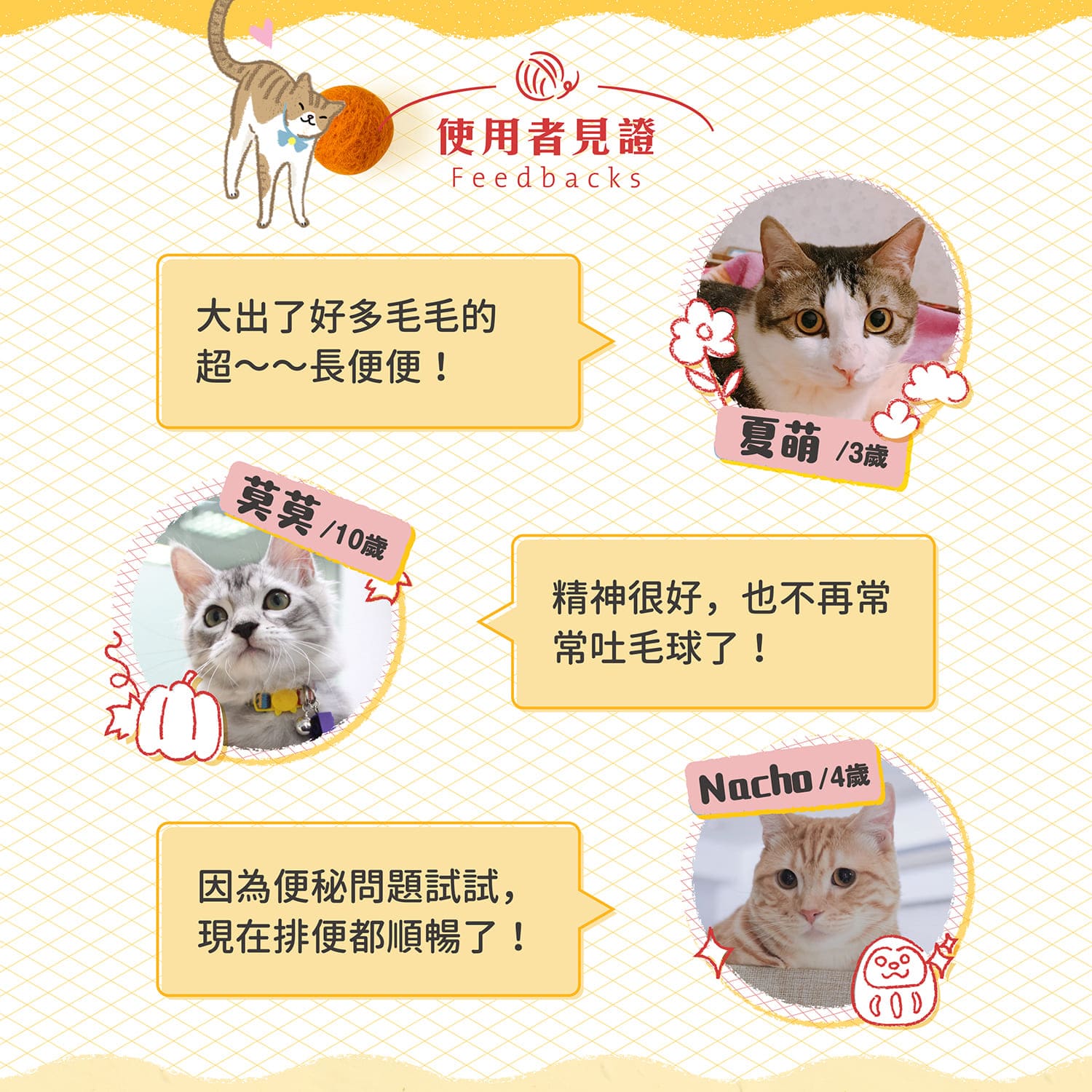 【毛起來】毛孩每日健康賞│排毛好消化賞