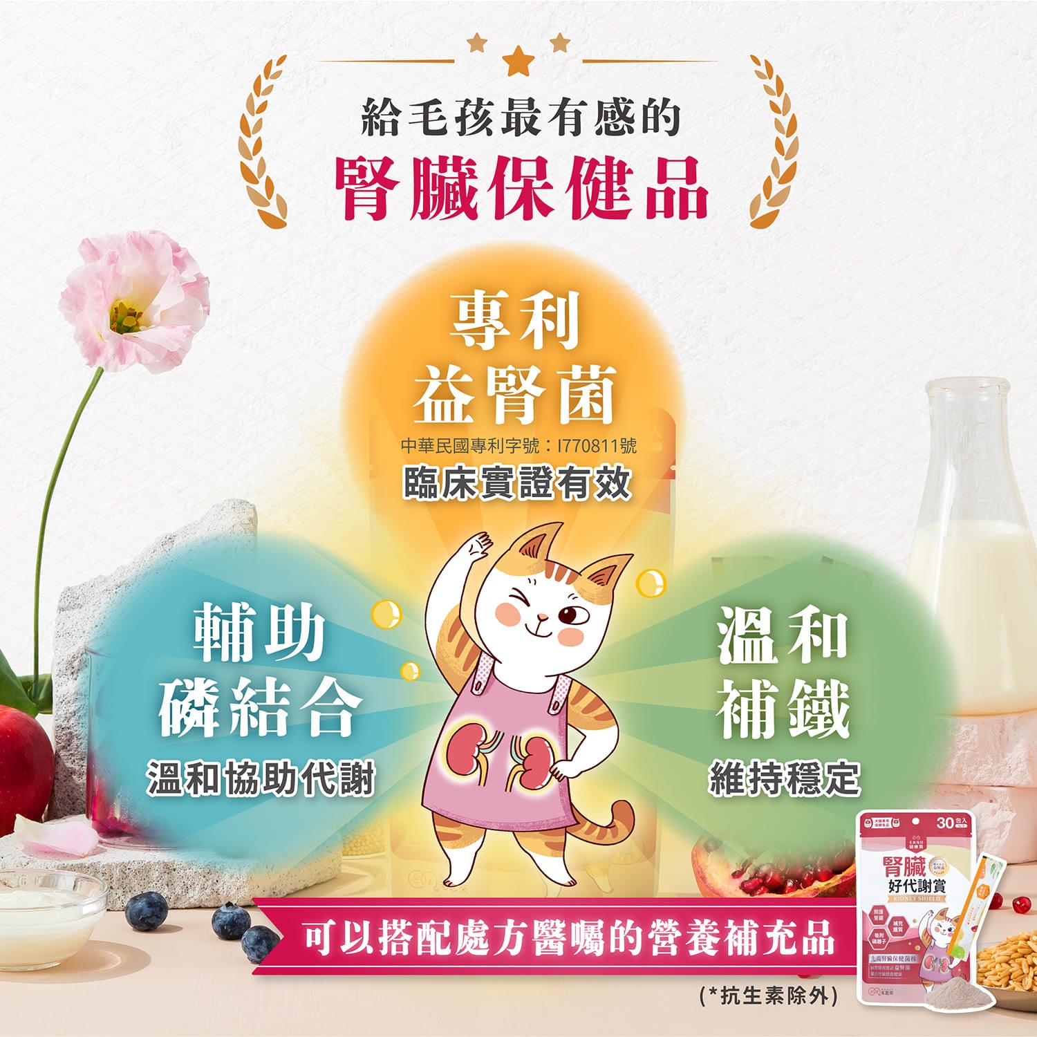 【毛起來】毛孩每日健康賞│腎臟好代謝賞