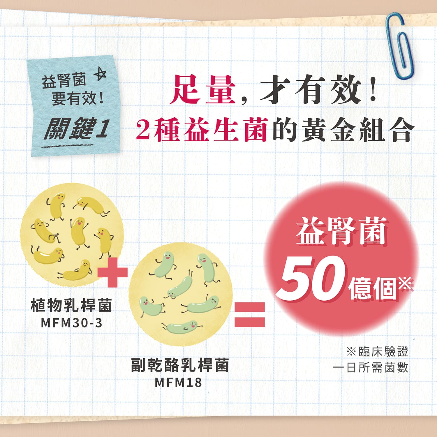 【毛起來】毛孩每日健康賞│腎臟好代謝賞