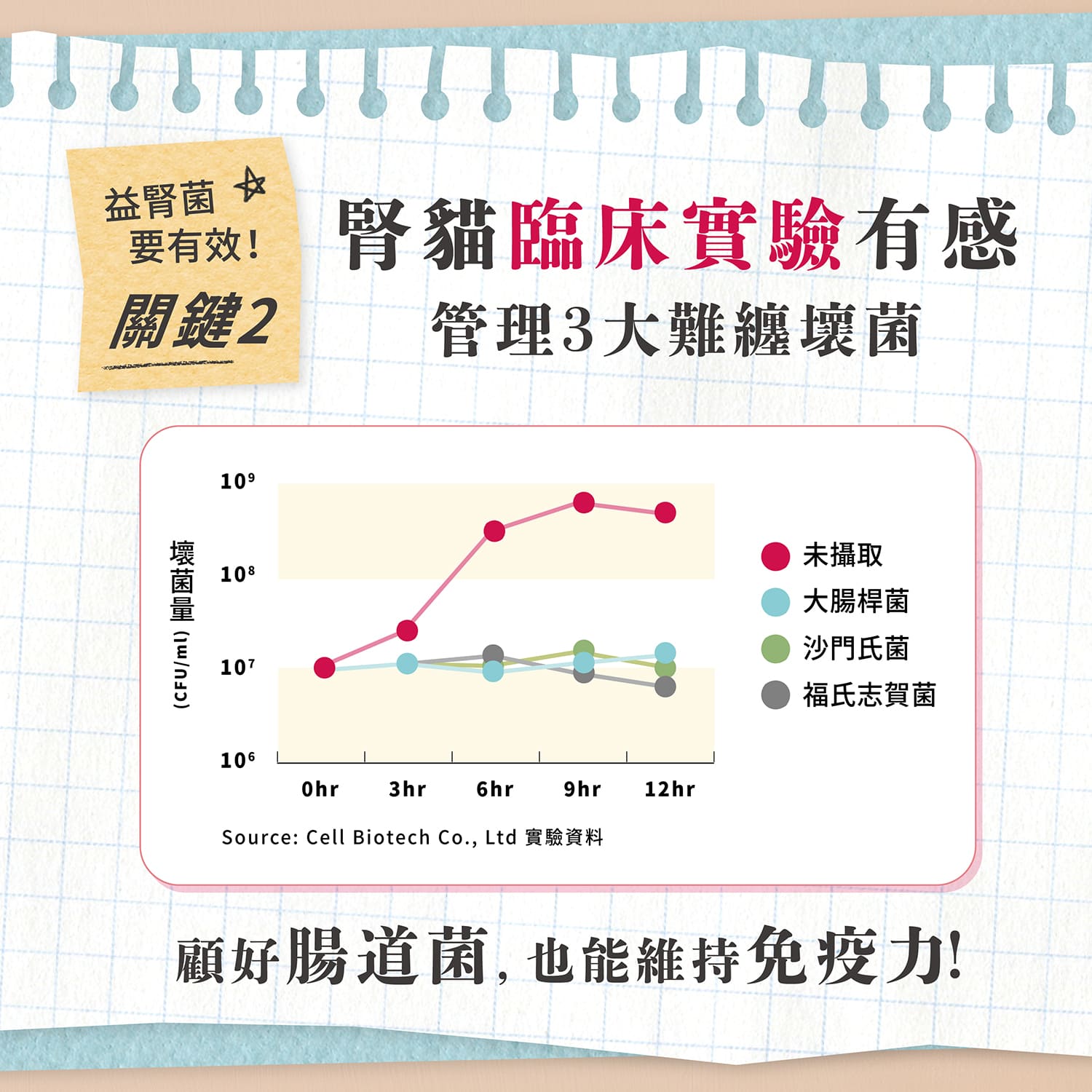 【毛起來】毛孩每日健康賞│腎臟好代謝賞