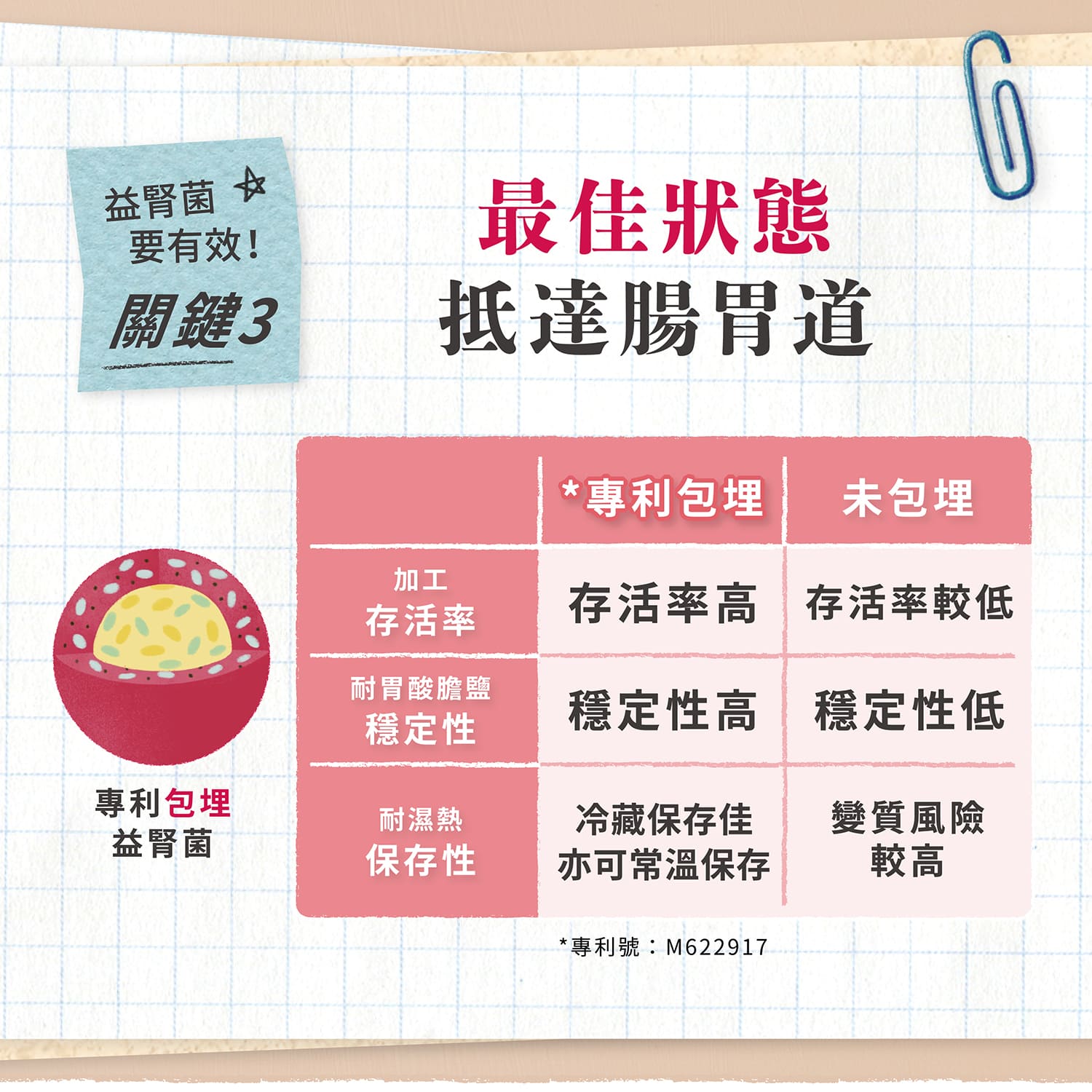 【毛起來】毛孩每日健康賞│腎臟好代謝賞