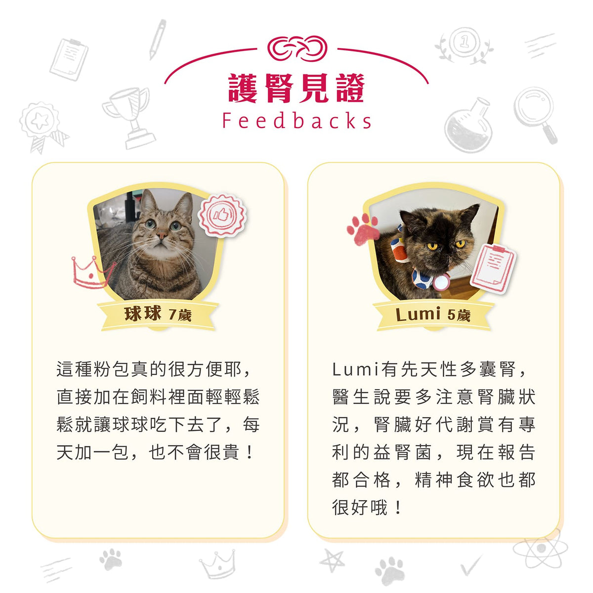【團購專屬】腎臟好代謝賞