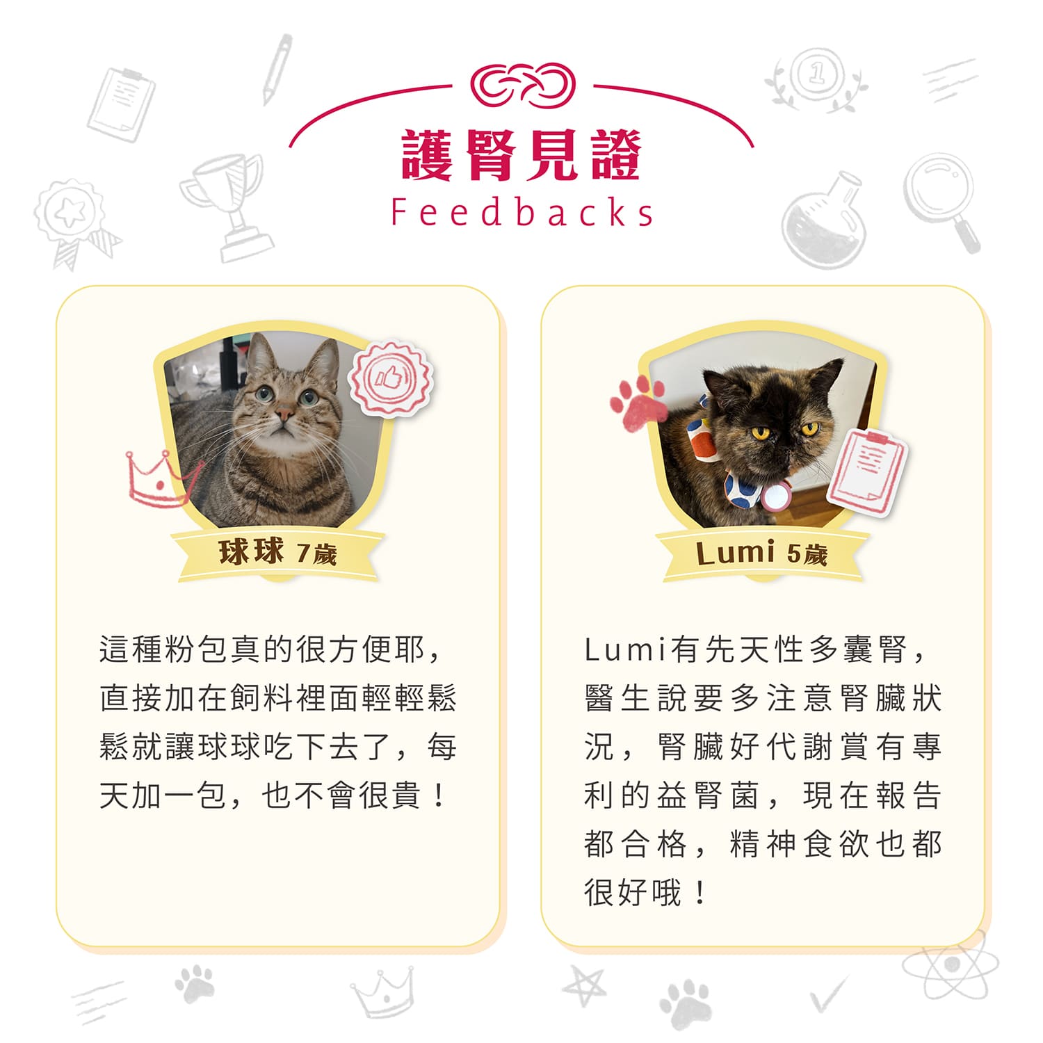 【毛起來】毛孩每日健康賞│腎臟好代謝賞