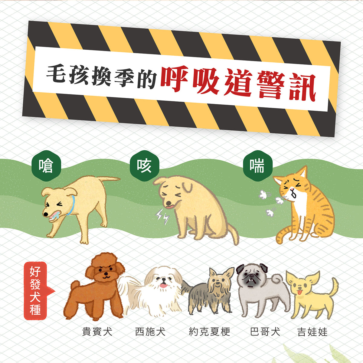 【團購專屬】呼吸道養氣賞