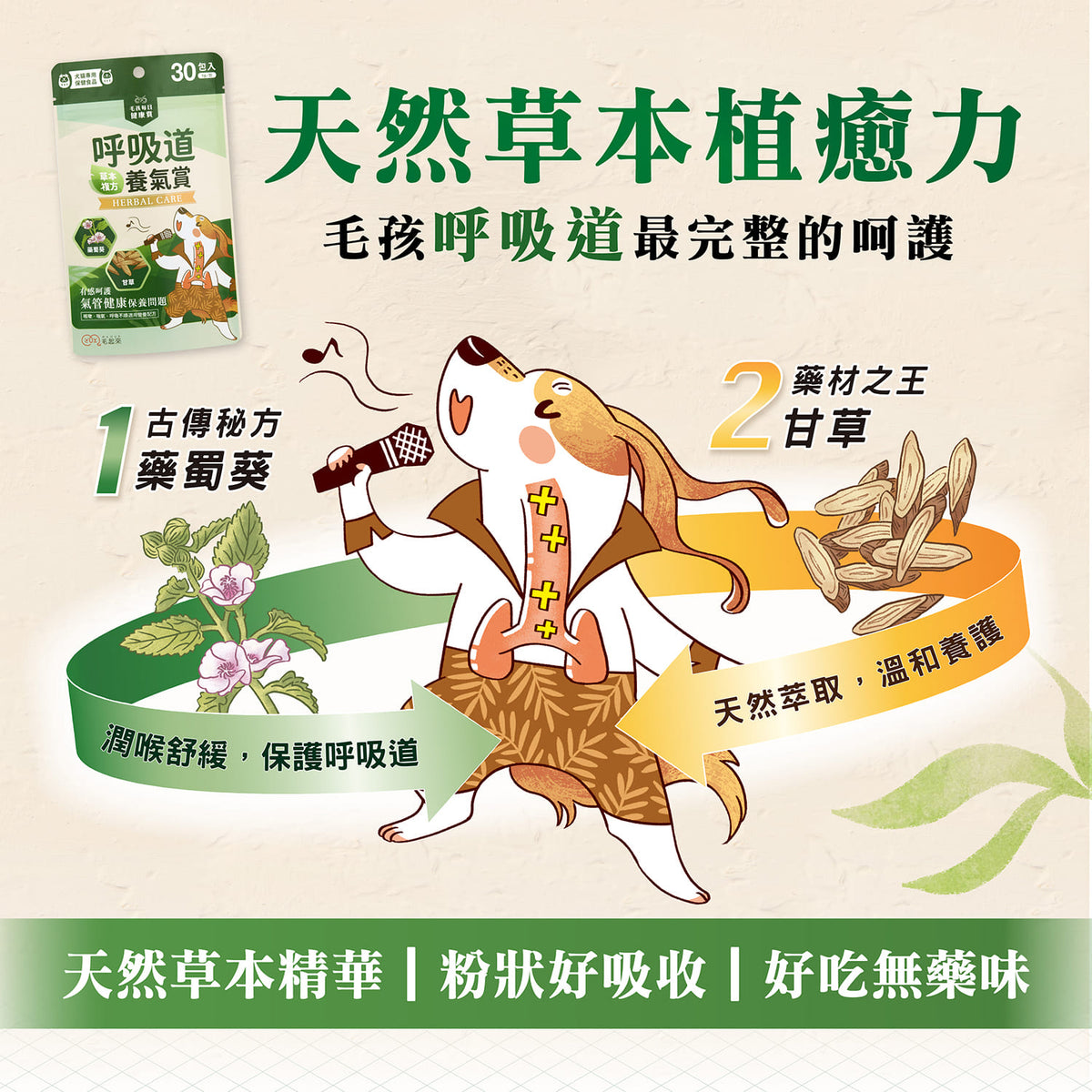 【團購專屬】呼吸道養氣賞