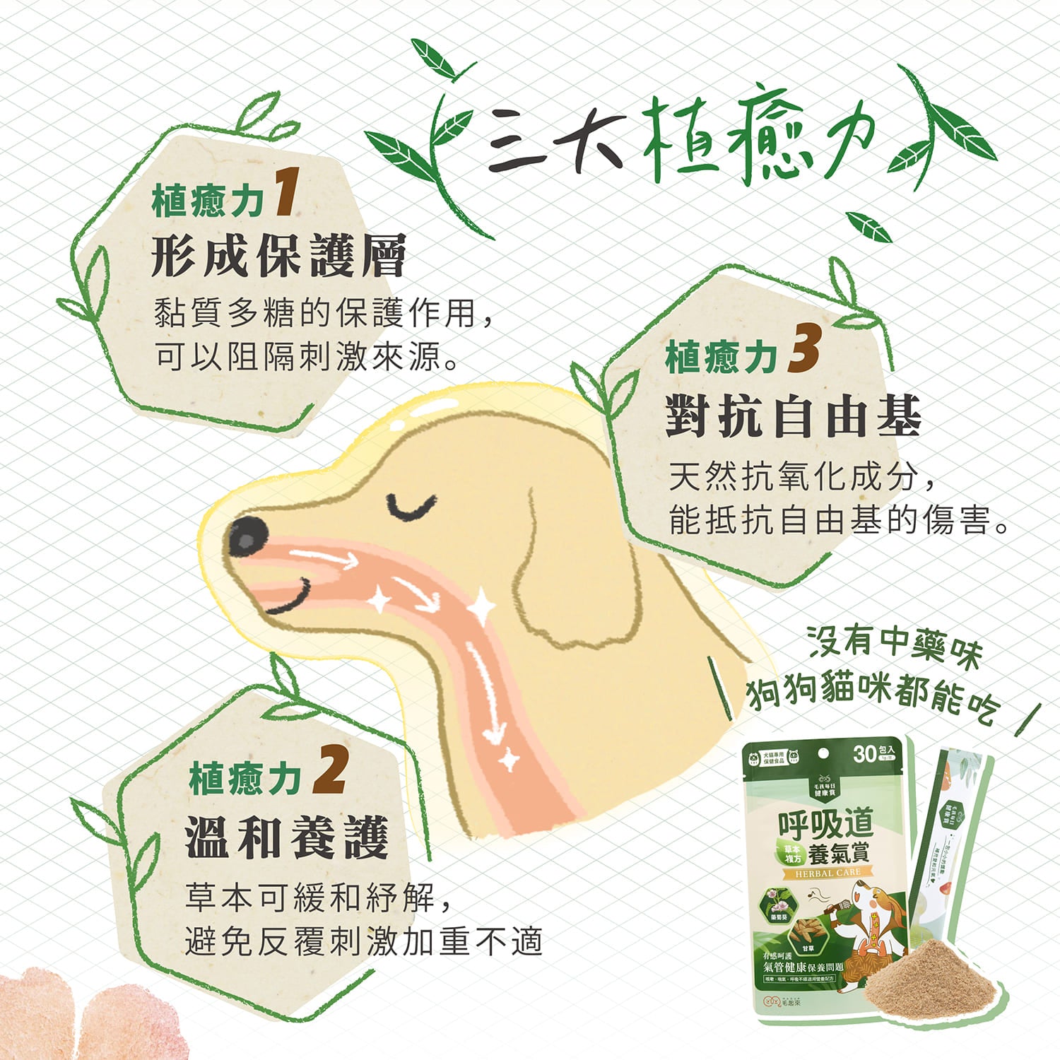 【毛起來】試用體驗組│呼吸道養氣賞(3入嘗鮮包)