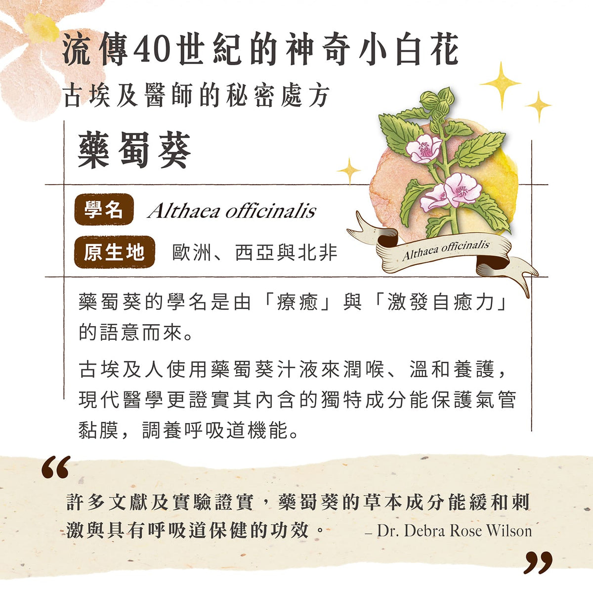 【團購專屬】呼吸道養氣賞