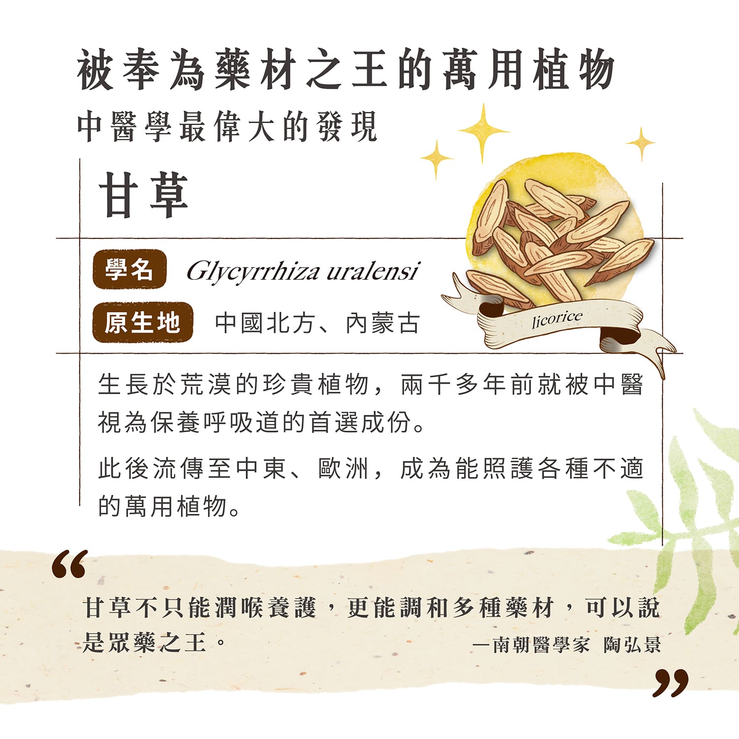 【毛起來】試用體驗組│呼吸道養氣賞(3入嘗鮮包)