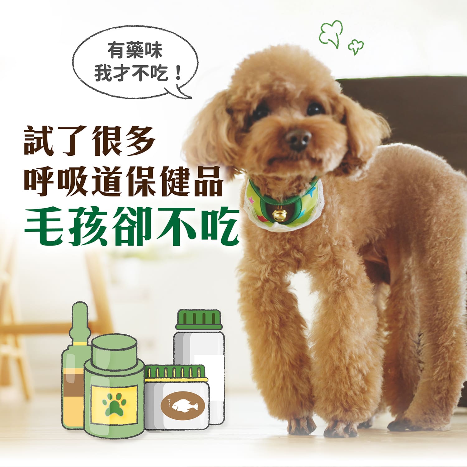 【毛起來】試用體驗組│呼吸道養氣賞(3入嘗鮮包)