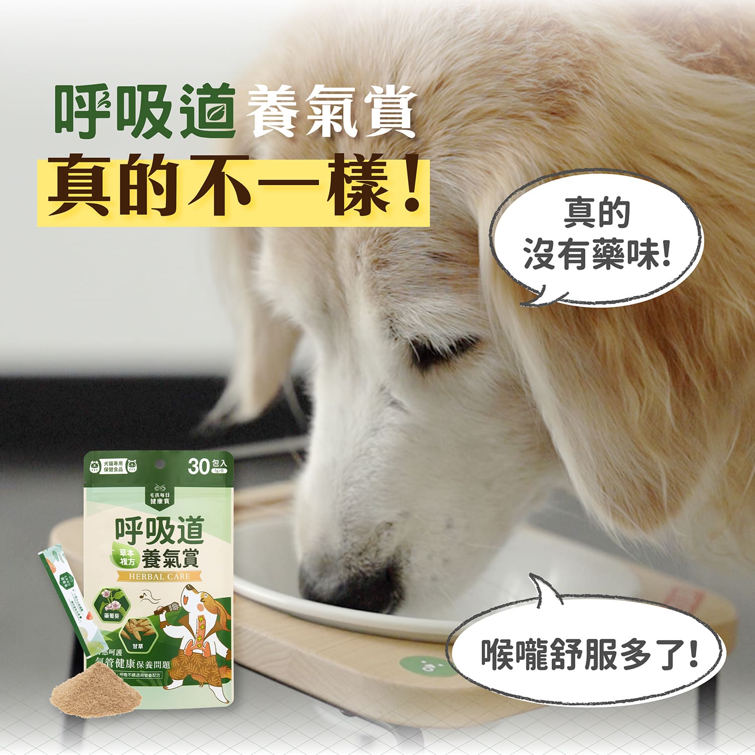 【毛起來】試用體驗組│呼吸道養氣賞(3入嘗鮮包)