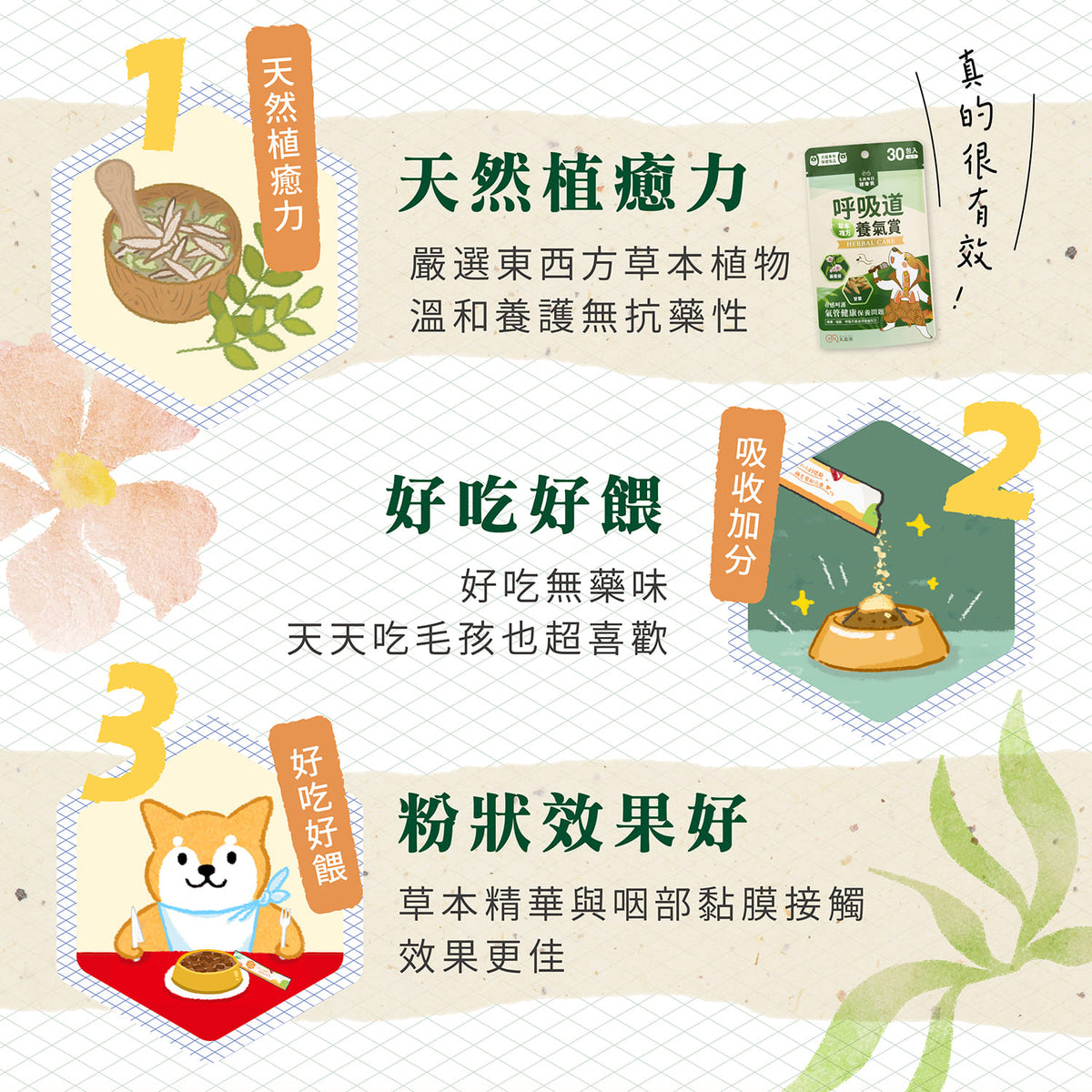 【團購專屬】呼吸道養氣賞