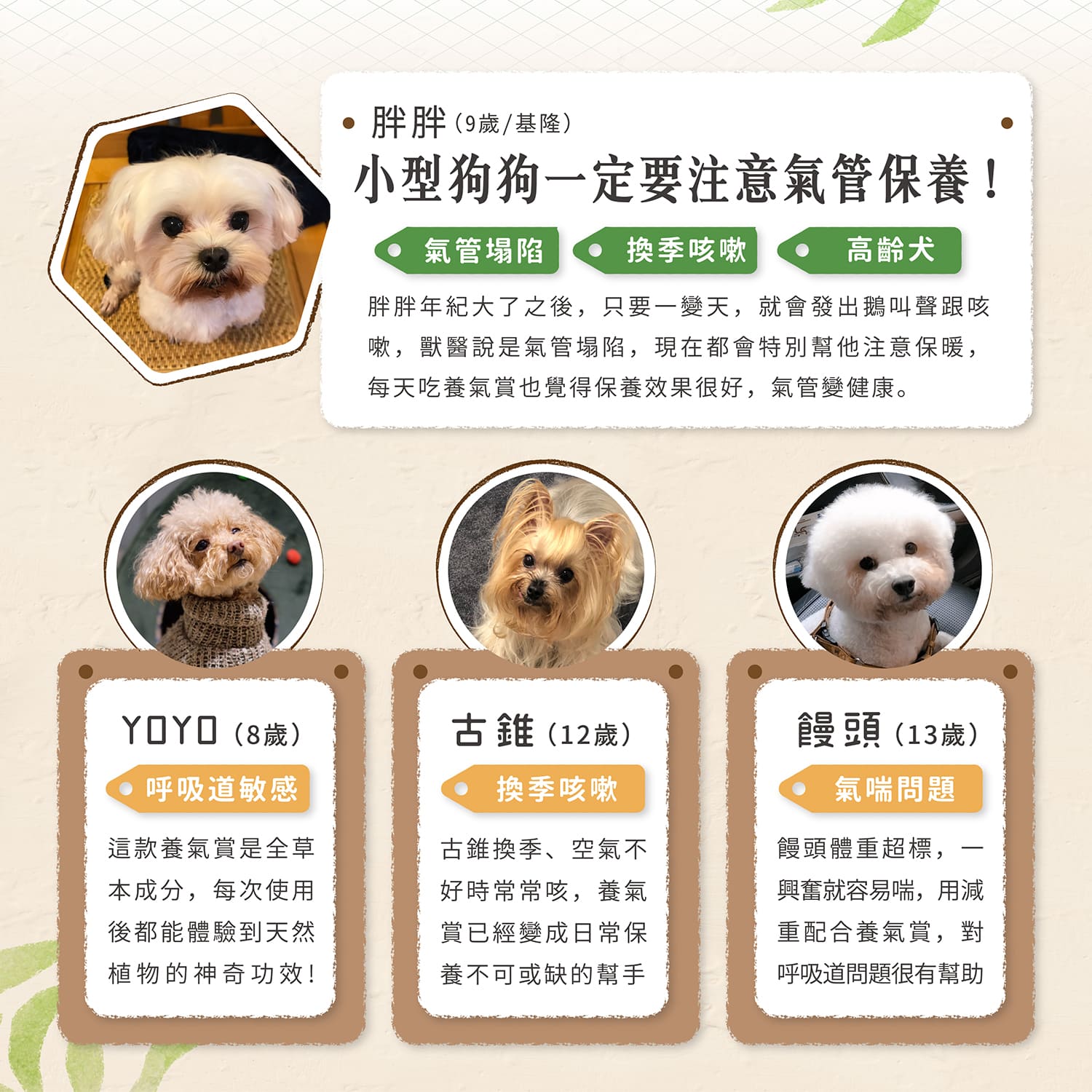 【毛起來】試用體驗組│呼吸道養氣賞(3入嘗鮮包)