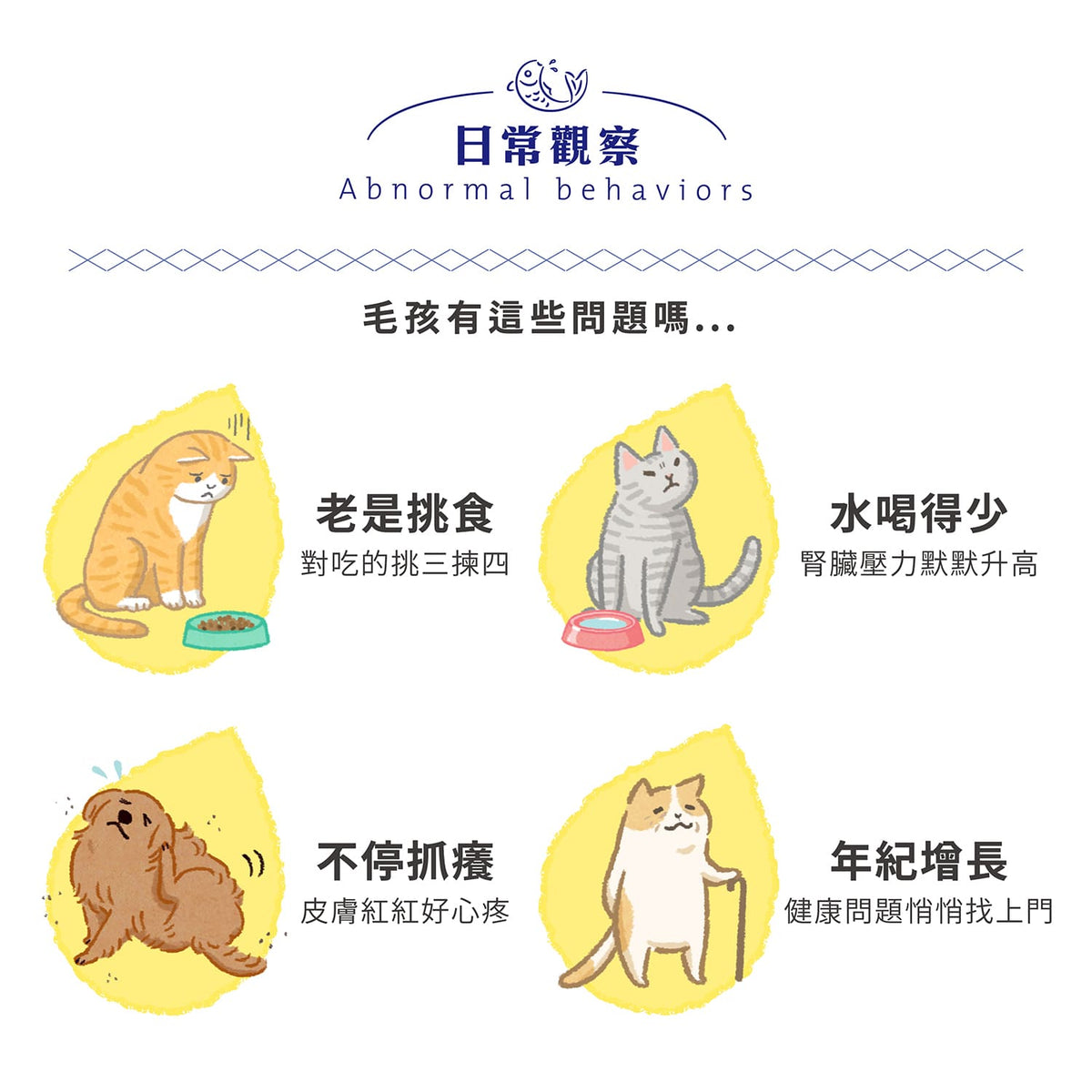 【團購專屬】魚油粉機能賞 DX