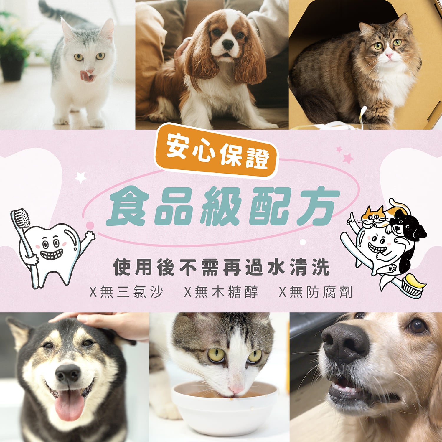 【毛起來】口腔對策│SHINE! 潔淨時刻寵物酵素牙膏