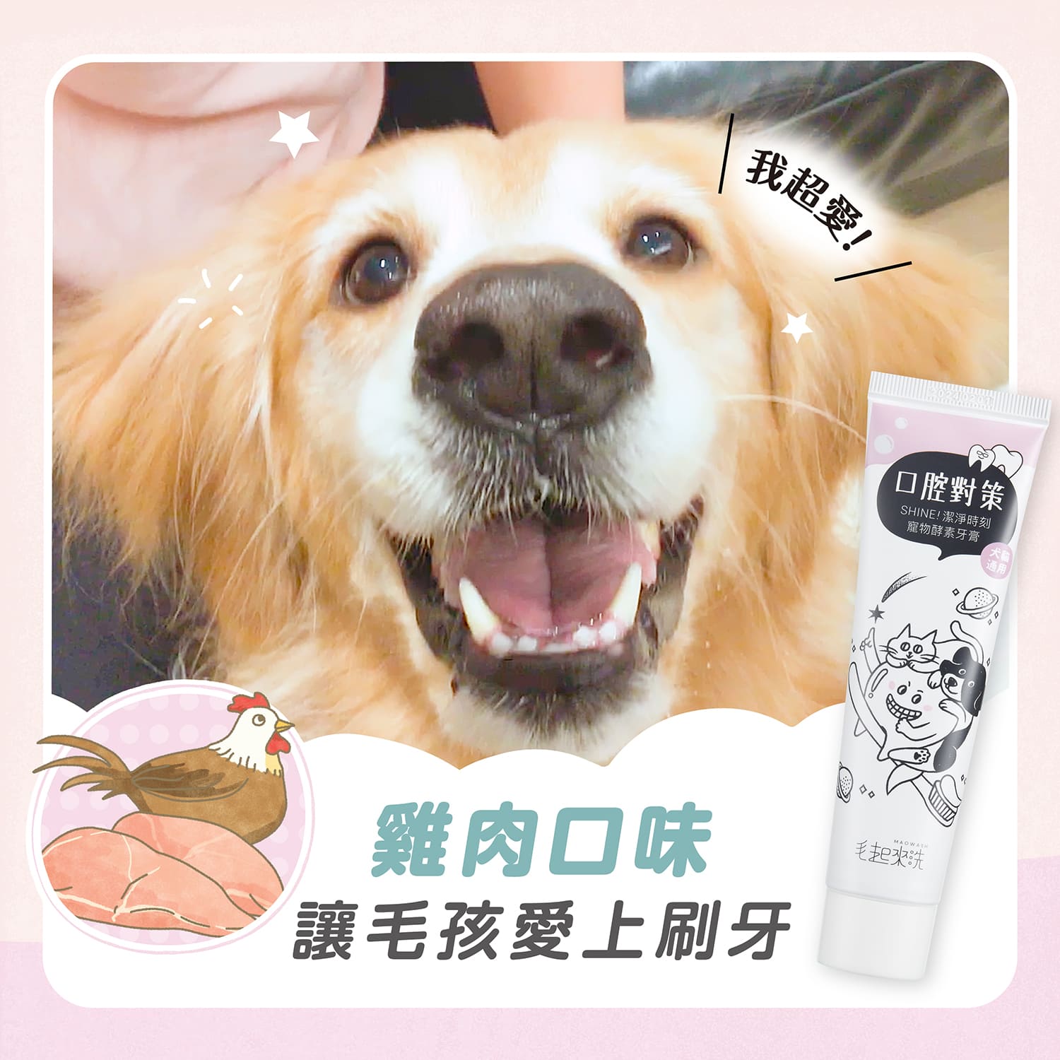 【毛起來】口腔對策│SHINE! 潔淨時刻寵物酵素牙膏