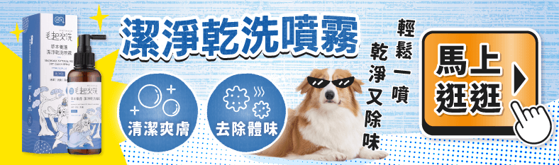 毛起來 MAOUP
