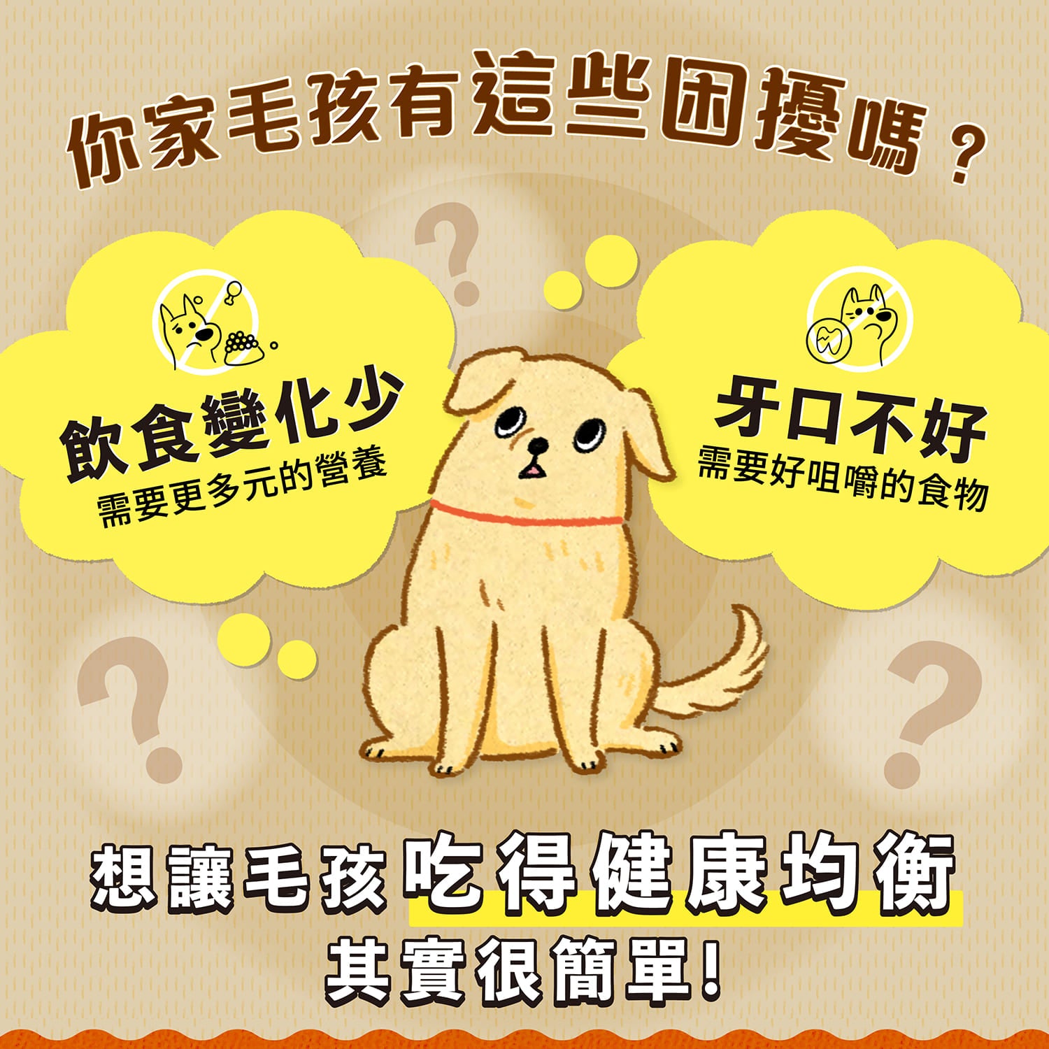 【毛起來】蒸的餐包│日式鮮魚煲