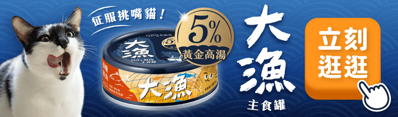 毛起來 MAOUP