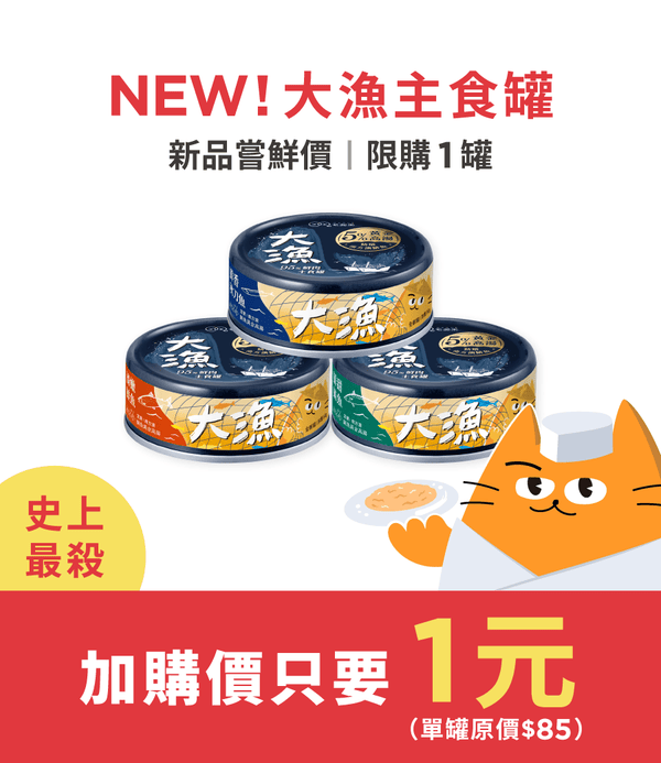 促銷卡片