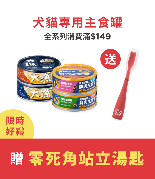 促銷卡片