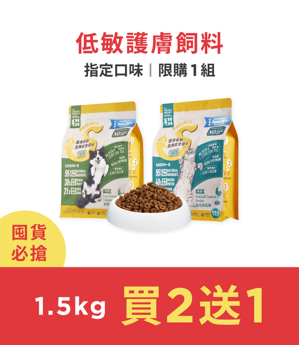 促銷卡片