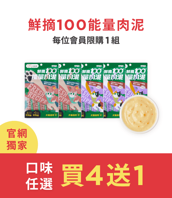 促銷卡片