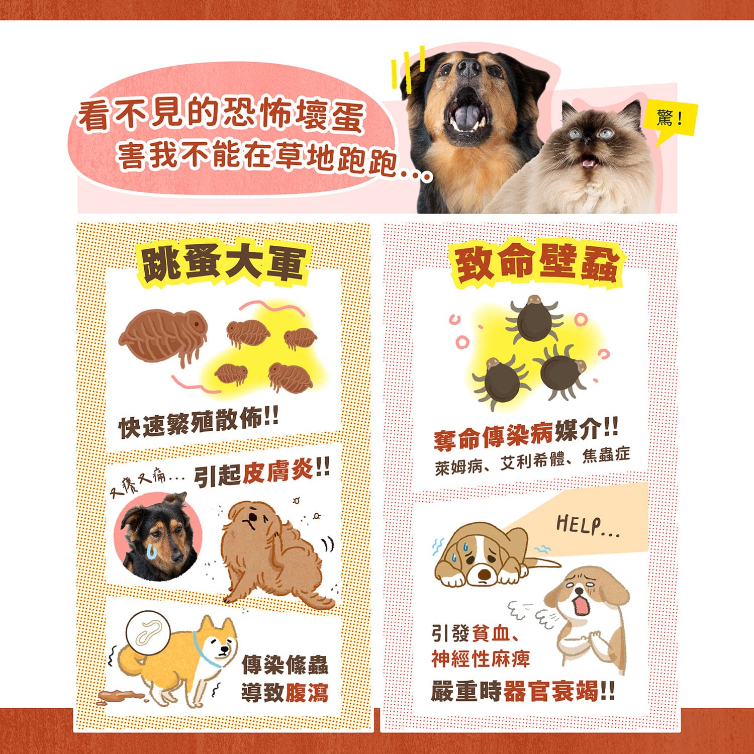 【毛起來】草本養護│蚤蟲高手防護噴霧