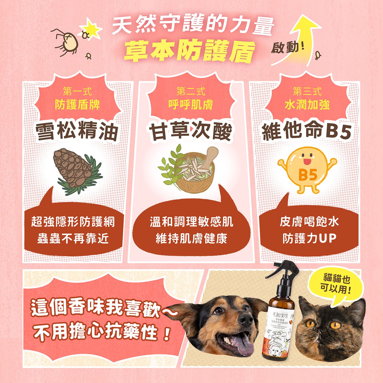 【毛起來】草本養護│蚤蟲高手防護噴霧