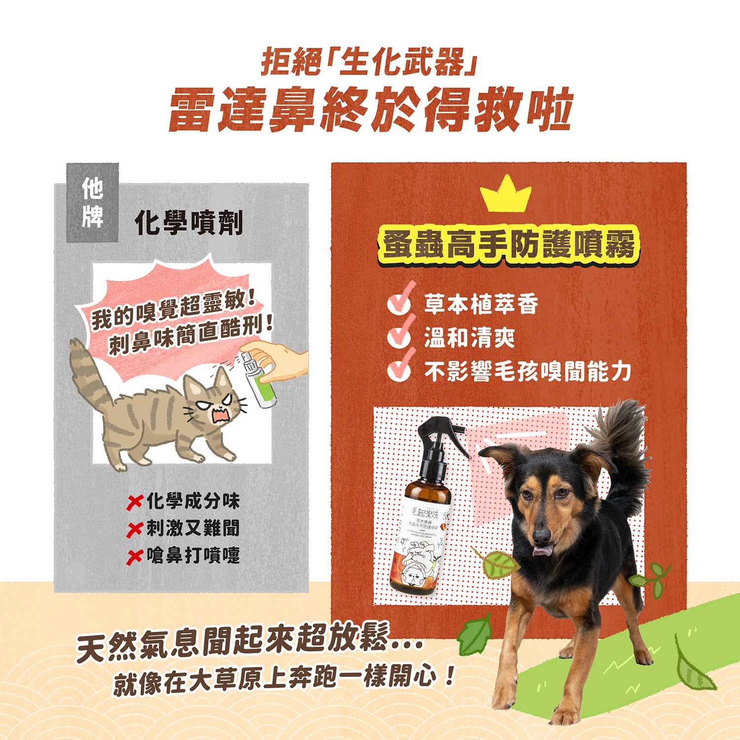 【毛起來】草本養護│蚤蟲高手防護噴霧